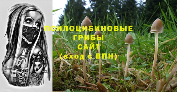 не бодяженный Струнино